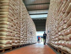 Bulog Sebut Konsumsi Beras di Toraja Tinggi, Warga Bawa ke Acara Adat