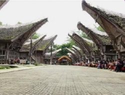 Tongkonan Toraja Perlu Perda Adat Budaya