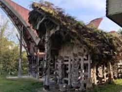 Eva Rataba Perjuangkan Tongkonan Tua Jadi Cagar Budaya, Janji Datangkan Komisi X DPR RI ke Toraja